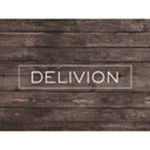 Delivion GmbH Logo