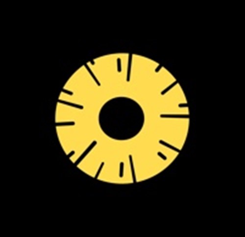 Pineapple Design Logo