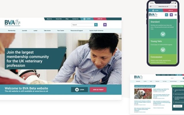 UP THERE, EVERYWHERE Projekt - Die Website einer renommierten NPO neu gestalten