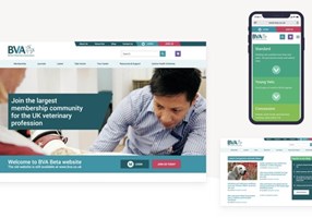 UP THERE, EVERYWHERE Projekt - Die Website einer renommierten NPO neu gestalten